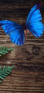 Blue butterfly on rustic wood with fern leaves, perfect for a nature-themed wallpaper.