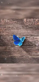 Blue butterfly resting on rustic wooden planks with a serene atmosphere.