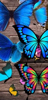 Blue butterfly on rustic wooden surface.