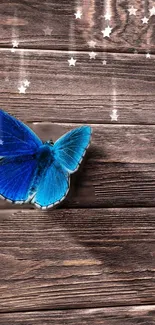 Blue butterfly on rustic wood with star accents.