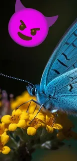 Blue butterfly on yellow flowers with a pink emoji.