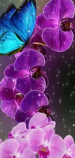 Blue butterfly perched on purple orchids with a twinkling starry background.