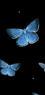 Vibrant blue butterflies on a black background mobile wallpaper.