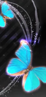 Vibrant blue butterflies on a dark background.