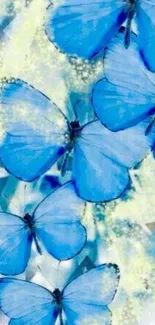 Blue butterflies on a serene background create a calming phone wallpaper.