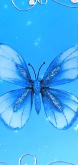 Blue butterfly with intricate silver designs on a sky blue background wallpaper.