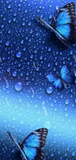 Blue butterfly wallpaper with raindrops.