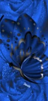 Blue butterfly resting on dewy blue roses, creating an elegant wallpaper.