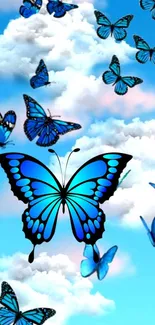 Blue butterflies fluttering in the sky filled with clouds.