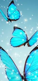 Blue butterflies with sparkling stars on a vibrant sky blue background.