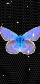 Blue butterfly with stars on a dark honeycomb pattern.