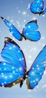 Blue butterflies with sparkling stars on a vibrant background.