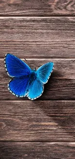 Blue butterfly on rustic wooden background wallpaper.