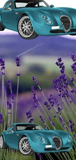 Blue car in a lavender field with scenic background.