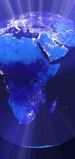 Blue Coelenterate Jellyfish Live Wallpaper