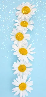 A vertical row of white daisies on a blue background.