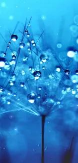 Blue dewdrops on fine strands, creating a serene mobile wallpaper.