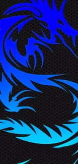 Blue dragon design on a black textured background.
