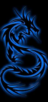 Blue tribal dragon design on black background wallpaper.