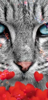 Gray cat with blue eyes and red hearts artistic wallpaper.