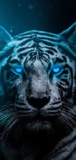 Blue-eyed tiger in dark hues mobile wallpaper