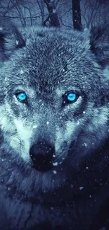 Captivating blue-eyed wolf in a snowy forest scene, perfect for mobile wallpaper.