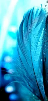 Blue feather with rain droplets wallpaper design