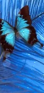 Blue feather with butterfly mobile wallpaper.