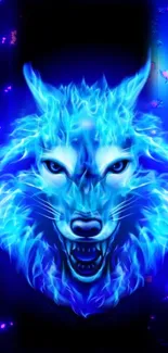 Fiery blue wolf digital art wallpaper.