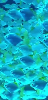 Vibrant blue and yellow fish swimming in the ocean.