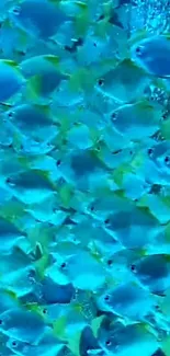 Vibrant blue fish swimming underwater in a serene ocean scene.