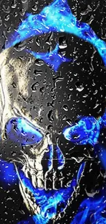 Mobile wallpaper featuring a skull engulfed in vibrant blue flames.