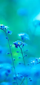 Mobile wallpaper with blue flowers in a serene, natural setting.