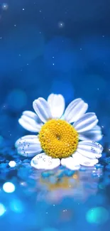 A daisy flower against a vibrant blue, sparkling bokeh background.