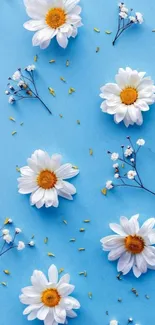 Blue background with white daisies and small flowers.