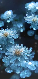 Beautiful blue flowers glow against a dark night background.