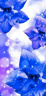 Blue flowers with sparkling bokeh effect wallpaper.