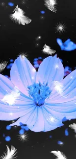 Blue flower and feathers on dark background wallpaper.