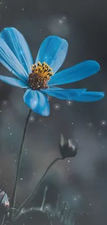 Blue flower amidst a cosmic starry night.