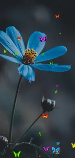 Dark blue flower with a blurred background on a phone wallpaper.