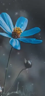 Blue flower in the night with starry background, perfect for mobile wallpaper.