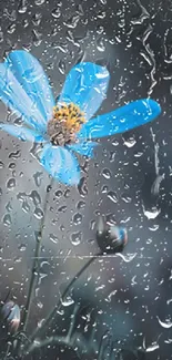 Serene blue flower with raindrops on glass, creating a calming effect.