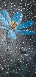 Blue flower behind rain-covered glass wallpaper.