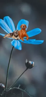 Mobile wallpaper with a blue flower and two dogs resting on petals.