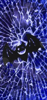 A black bat on a stunning blue fractured glass background.