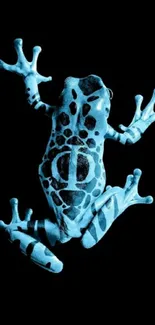 Vibrant blue frog on a black background wallpaper.