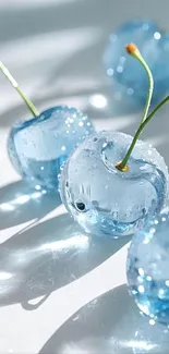 Close-up of translucent blue cherries with sunlight reflections.