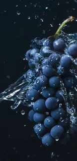 Vivid blue grapes with dynamic water splash effect.