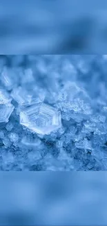 Close-up of blue ice crystals forming intricate patterns.