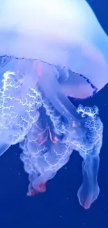 Blue jellyfish glowing in an underwater scene.